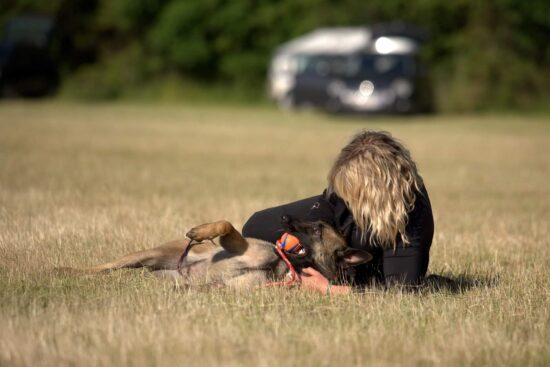 regulering - hjælp din hund! eifer elite sport hundetræning