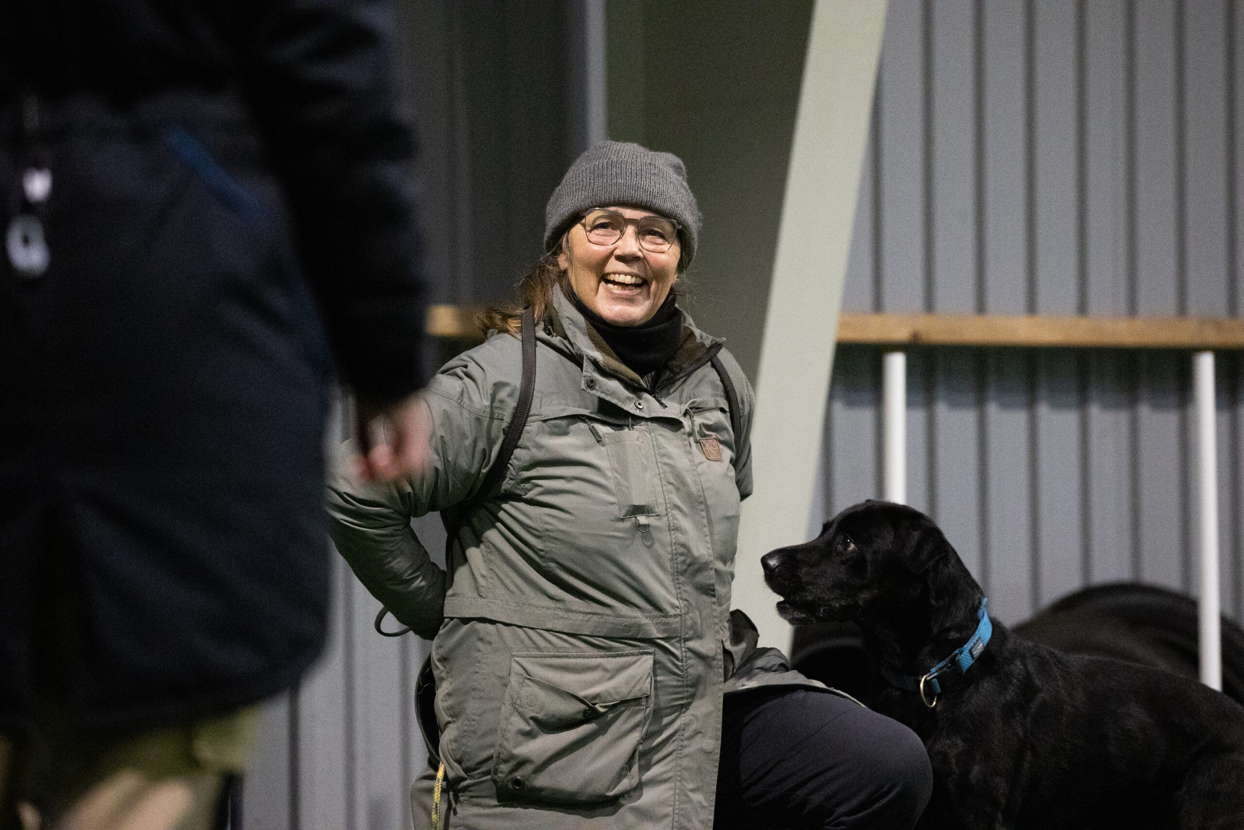 lydighedstræning hund hundetræning århus