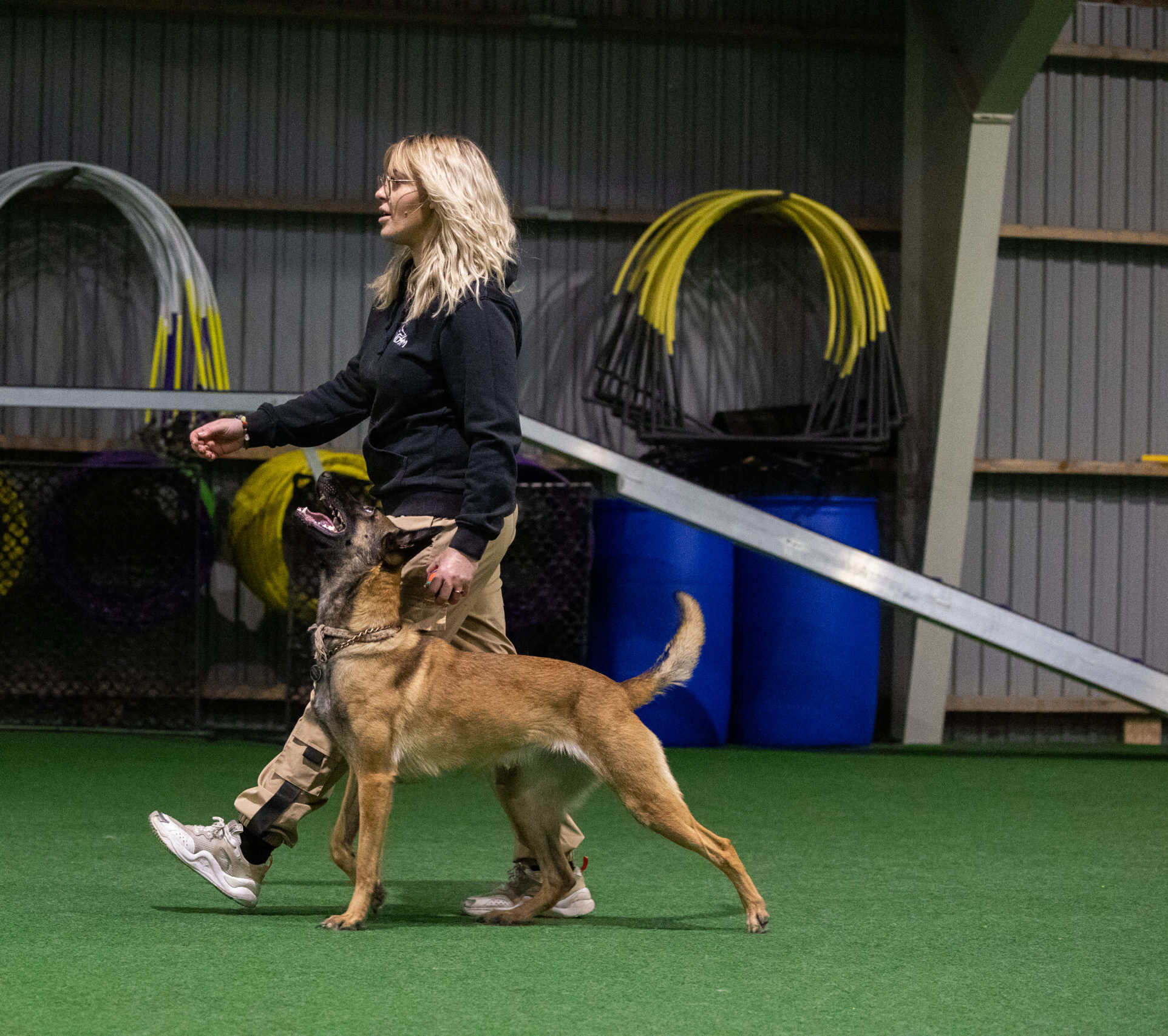 EES online kurser hundetræning fri ved fod