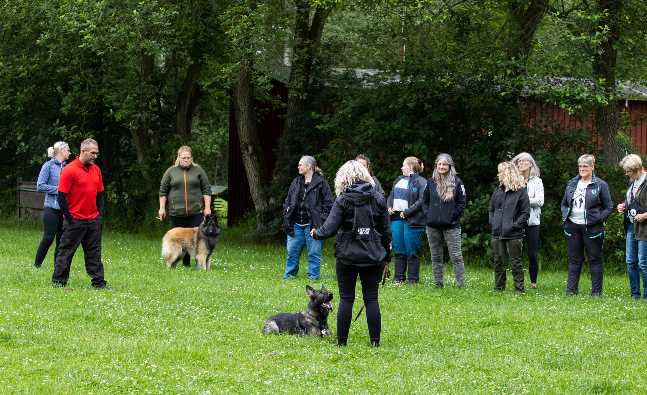EES integral hundetræner uddannelse hundeinstruktør