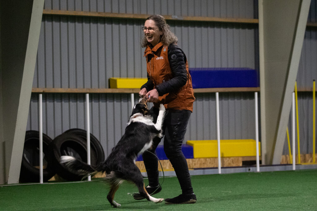 ees drive og motivation online kursus hundetræning
