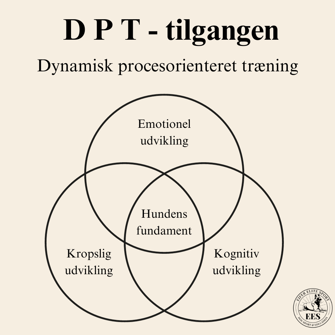 DPT tilgangen hundetræning brugshundetræning