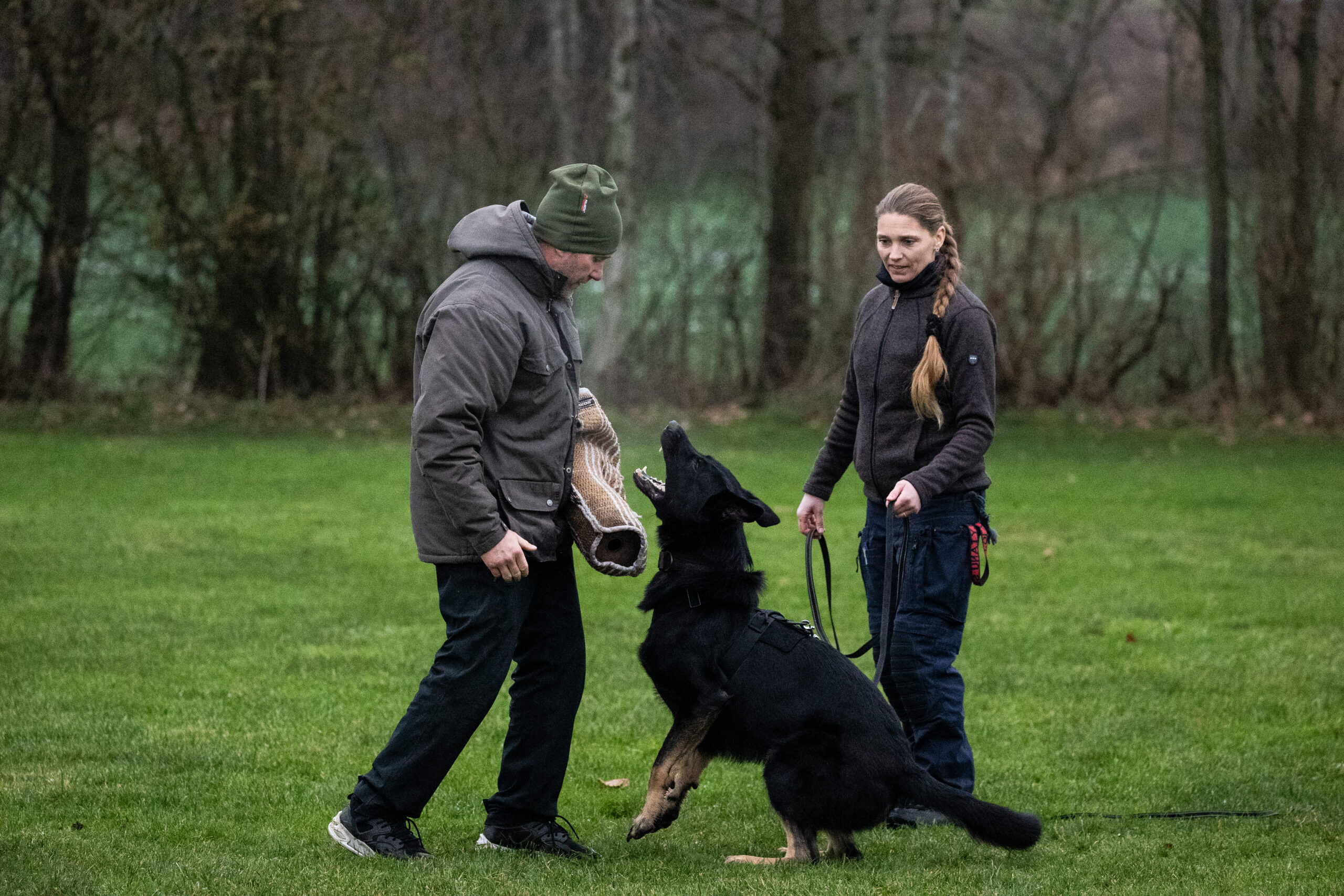 Opstart af den unge hund Bytte- eller forsvarsdrift