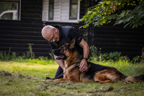 er lederskab misforstået? artikler hundetræning hundeadfærd