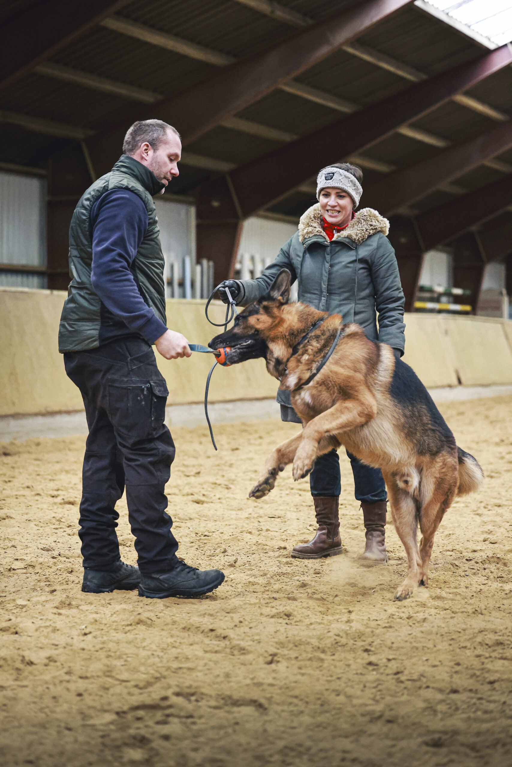 hundeinstruktør eifer elite sport