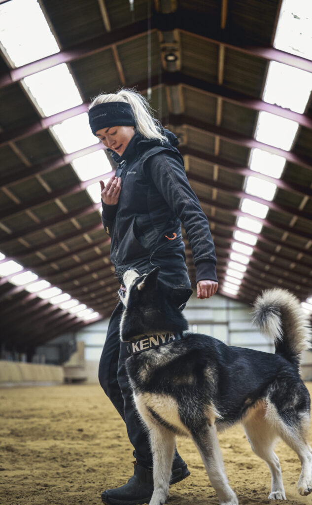 kurser og seminarer hundetræning hundeadfærd hundetræner uddannelse