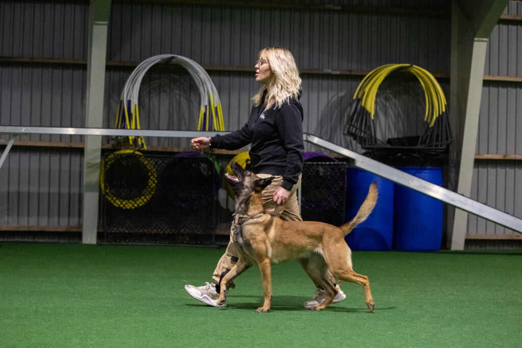 om nikoline kitsja andersen hundetræner