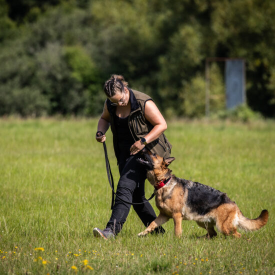 instruktør ees hundetræning