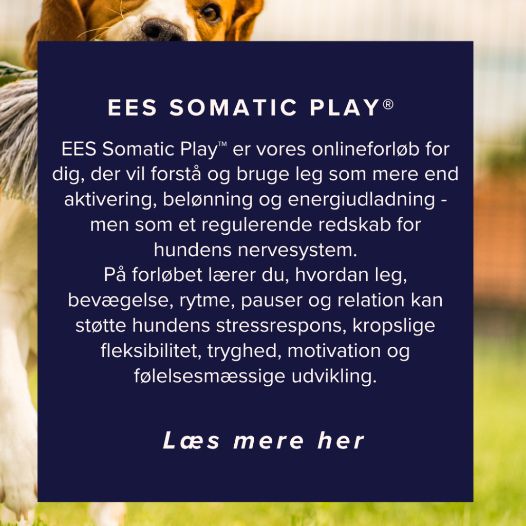 somatic play ees